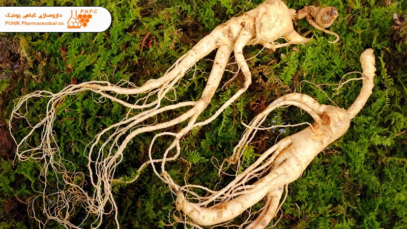Rare side effects of ginseng