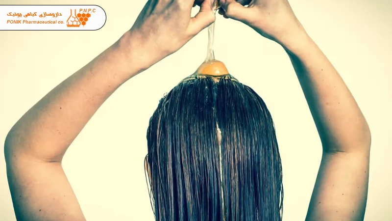 درمان خانگی ریزش مو با تخم مرغ